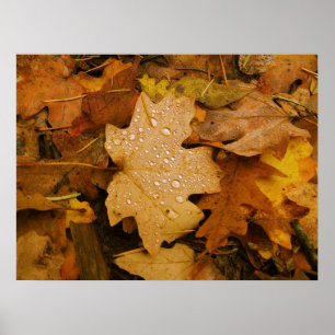 Fall Fantasy (30) Poster