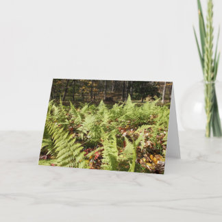 Fall Ferns Card