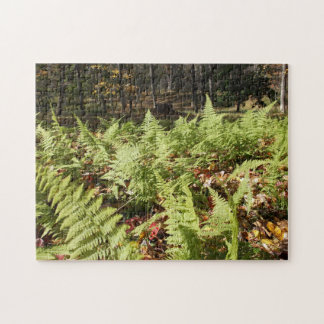 Fall Ferns Jigsaw Puzzle