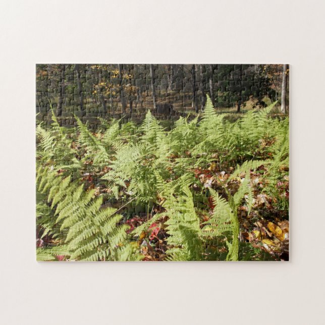 Fall Ferns Jigsaw Puzzle (Horizontal)