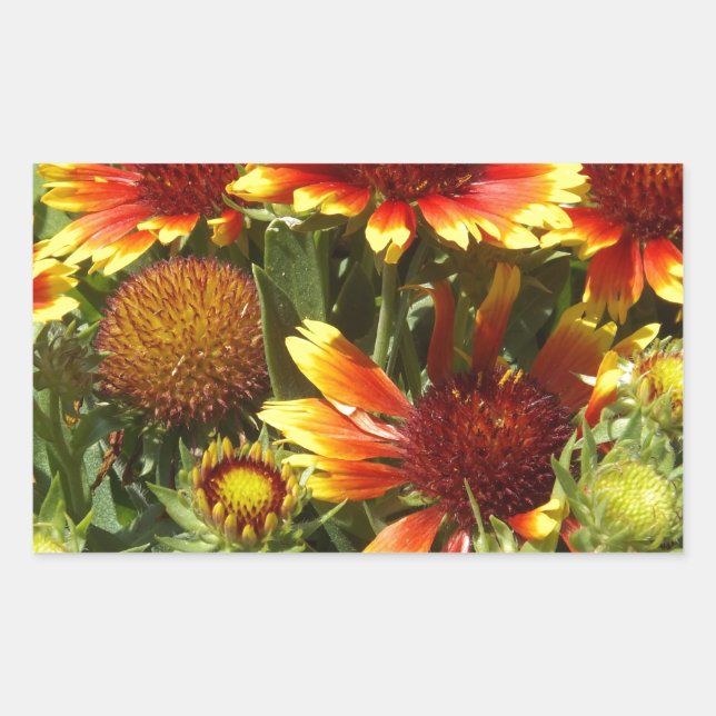 Fall festival of wildflowers rectangular sticker (Front)