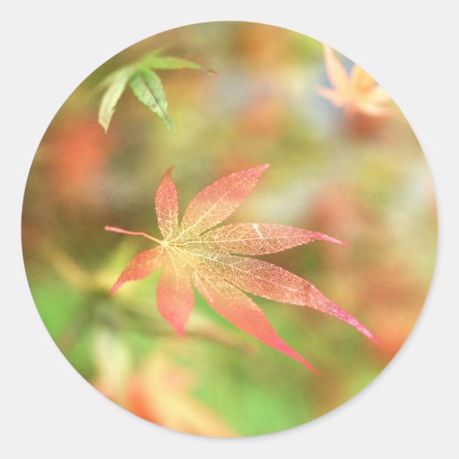 Fall Filigree Stickers (Front)