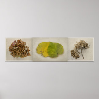 fall flowers tryptich poster