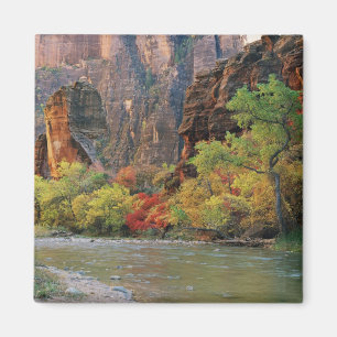 Fall foliage along Virgin River near gateway to Magnet