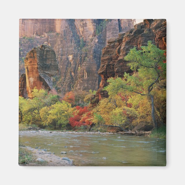 Fall foliage along Virgin River near gateway to Magnet (Front)