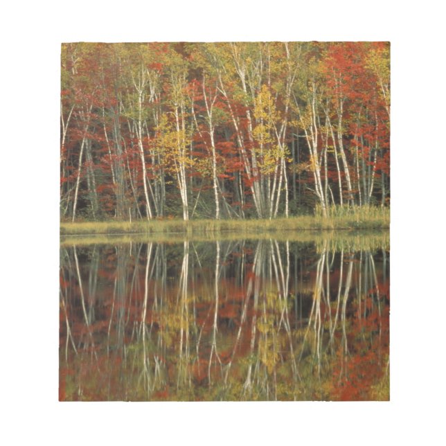 Fall Foliage and Birch Reflections; Hiawatha Notepad (Front)