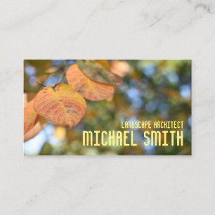 Fall Foliage Autumn Leaves Nature Tree Photography Business Card