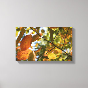 Fall Foliage Autumn Leaves Nature Tree Photography Canvas Print
