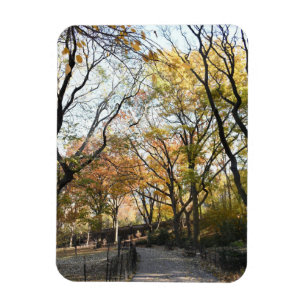 Fall Foliage Autumn Leaves Nature Tree Photography Magnet