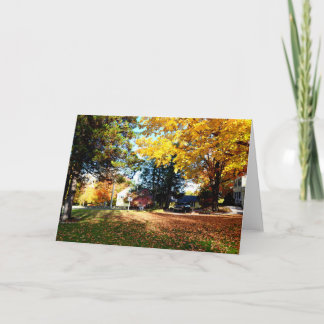 Fall Foliage - Blank Greeting Card