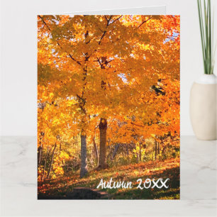 Fall Foliage  Card