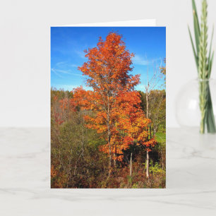 Fall Foliage Card