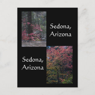 Fall foliage in bloom,Sedona Arizona Postcard