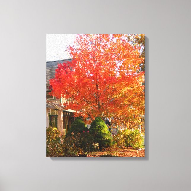 Fall Foliage in Oak Bluffs - Martha's Vineyard Canvas Print (Front)