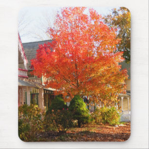 Fall Foliage in Oak Bluffs - Martha's Vineyard Mouse Pad