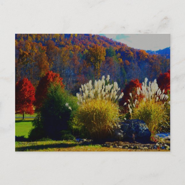 Fall Foliage in the Mountains Postcard (Front)