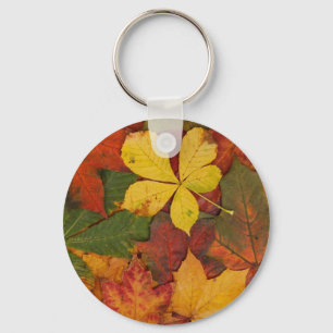 Fall Foliage Key Ring