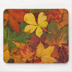 Fall Foliage Mouse Pad