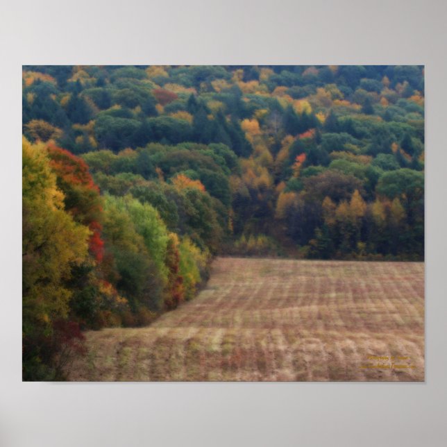Fall Foliage Mowed Field Orton Effect Poster (Front)