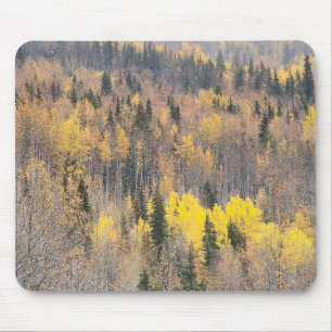 Fall Foliage Nature Scene with Warm Tones Mouse Pad