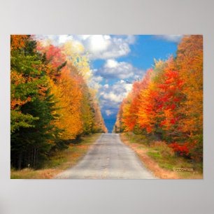 Fall Foliage New England Poster