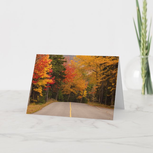 Fall Foliage New Hampshire Blank Card (Front)