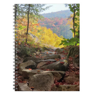 Fall Foliage Notebook