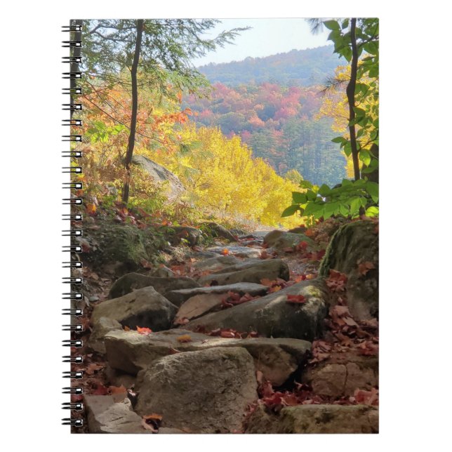 Fall Foliage Notebook (Front)