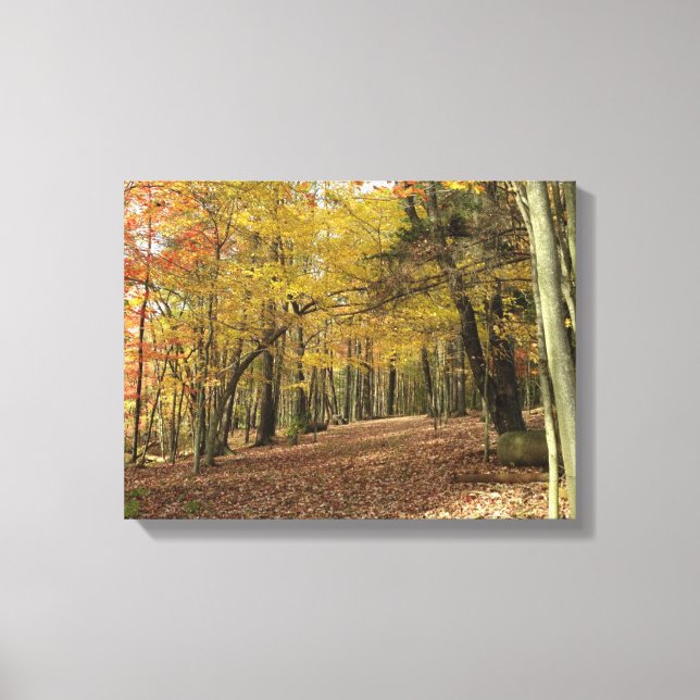 Fall Foliage Photo Serene Autumn Woods  Canvas Print (Front)