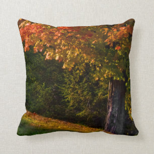 Fall Foliage Pillow Scenes   Accent Pillow 3 Of 3