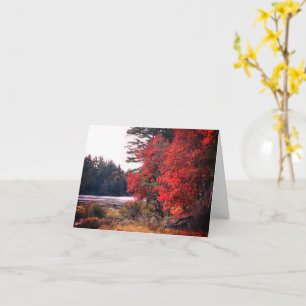 Fall Foliage Pond Customisable Note Card