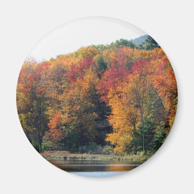 Fall Foliage Pond Nature Photography  Magnet (Front)