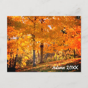 Fall Foliage Postcard