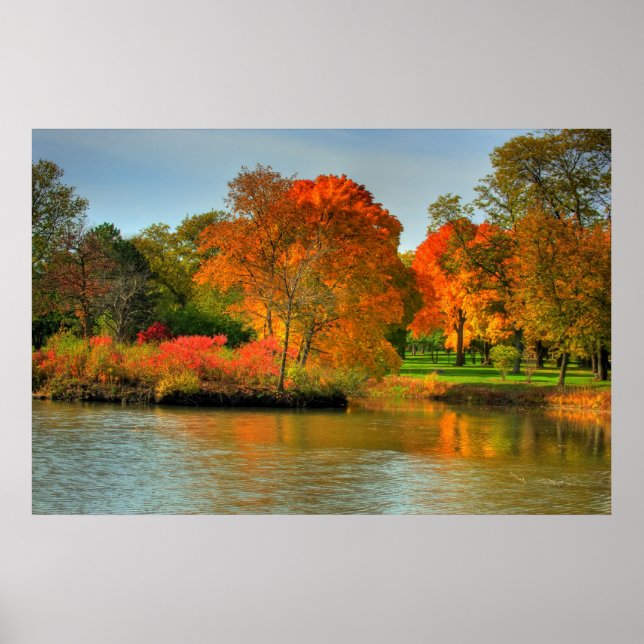Fall Foliage Poster (Front)