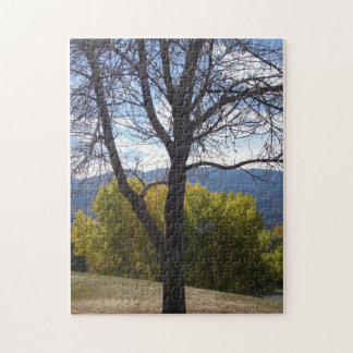 Fall Foliage puzzle