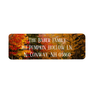 Fall Foliage Return Address Label