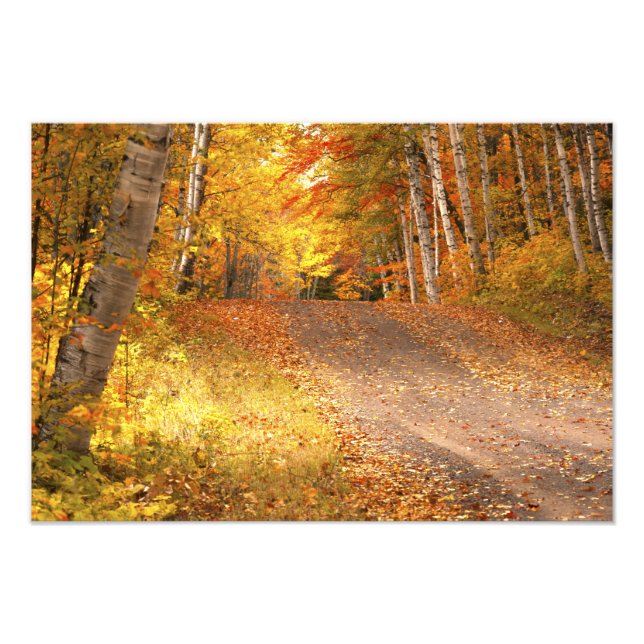 Fall Foliage Rural Road U.P. Michigan Photography Photo Print (Front)