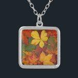 Fall Foliage Silver Plated Necklace<br><div class="desc">A colourful collection of fall foliage. A variety of leaves changing colour during autumn.</div>