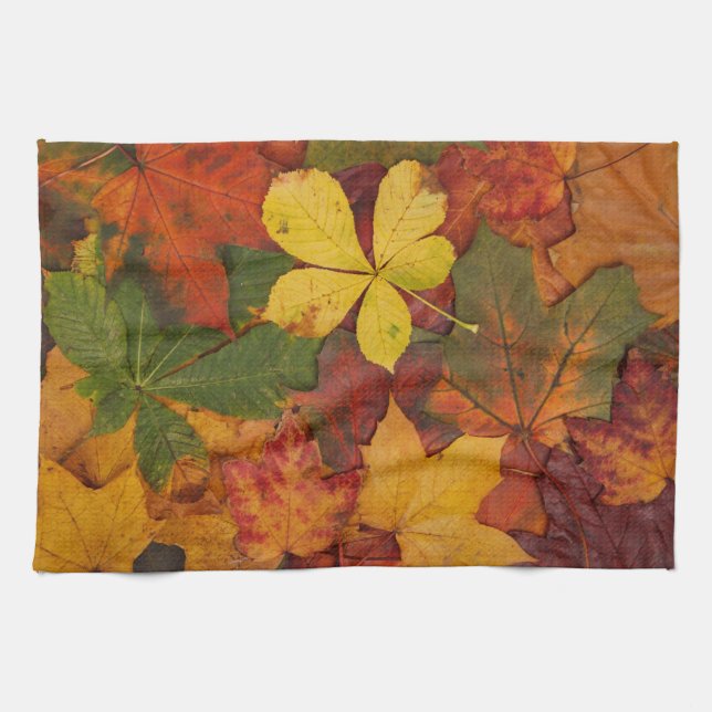 Fall Foliage Tea Towel (Horizontal)