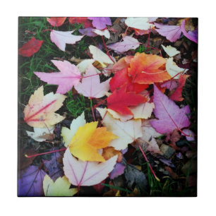 Fall Foliage Tile