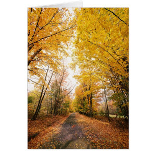 Fall Foliage Walking Path
