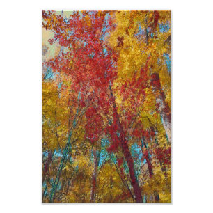 Fall Forest Artwork Photo Print