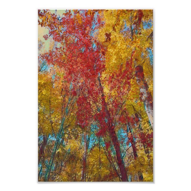 Fall Forest Artwork Photo Print (Front)