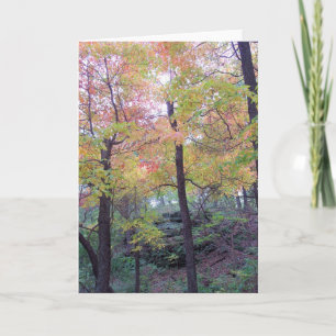 Fall Forest - Blank Inside Greeting Card