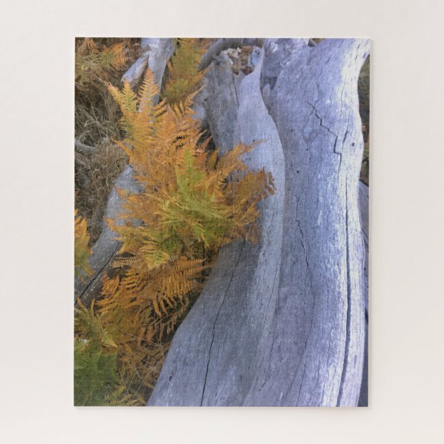Fall Forest Brackens Jigsaw Puzzle (Vertical)