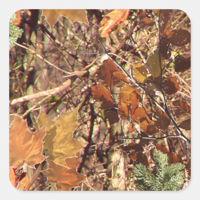 Fall Forest Bush Camouflage Square Sticker (Front)