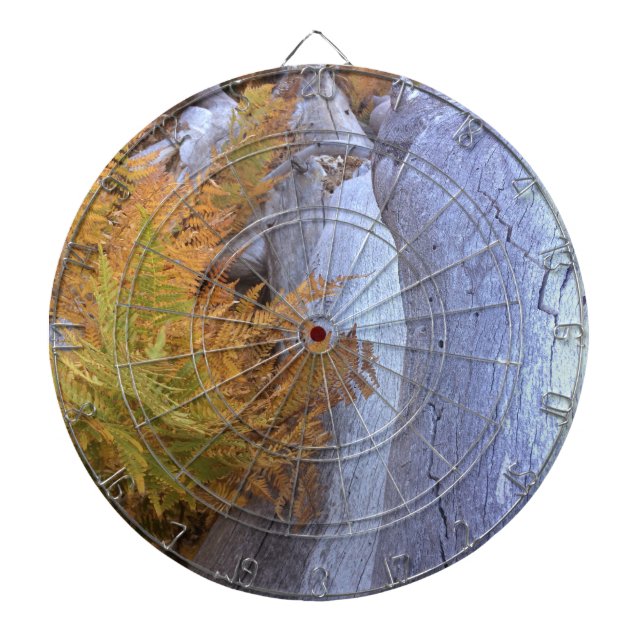 Fall Forest Dartboard (Front)