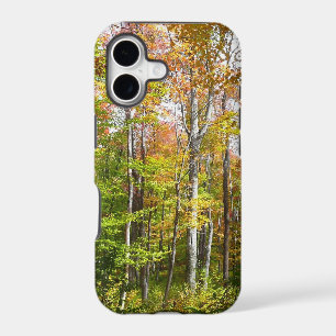 Fall Forest I Autumn Landscape Photography