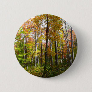 Fall Forest I Autumn Landscape Photography 6 Cm Round Badge