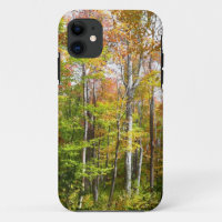 Fall Forest I Autumn Landscape Photography
